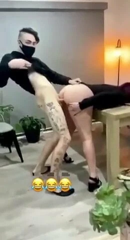 Hile atış içinde the kedi