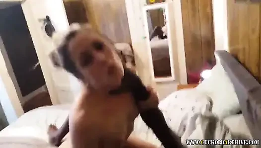 Cuckold Archive - Største videosamling av cuckold-videoer