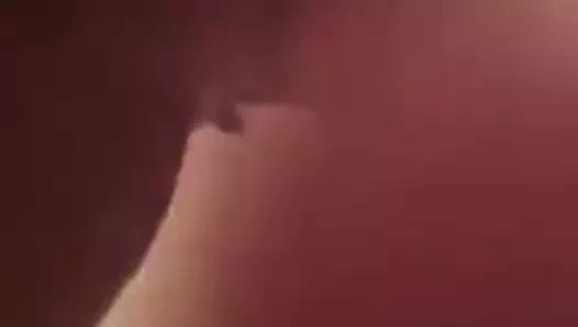 Eski eş kremsi kedi