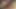 Transseksüel Tiffany istekli pasif erkeklerin götüyle anal seksi seviyor