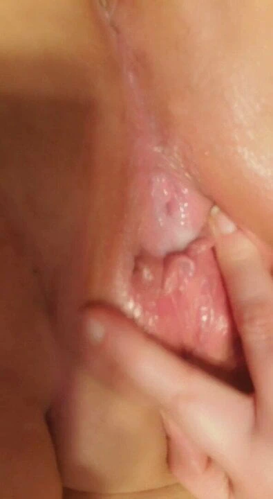 Kremsi ıslak kedi ile yaramaz callie