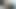 Susana rusli - blowjob.mp4
