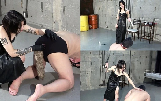A Whipping Game Where a Man with Tail Attached to Anus Must Hold Mouth Toy Bone Thrown by Mistress Within Two Seconds and Return