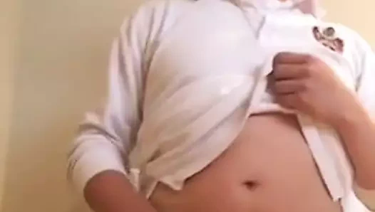 Döl aygırı