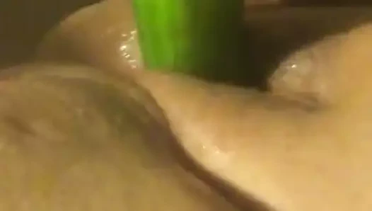 Salatalık ıslak kedi karşılar