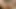 Kabarık nips üzerinde kız oyun ile yapay penis