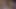 Mavi gözlü döl çöplüğü iki büyük yarağa hizmet ediyor - tiktok hayatı - lily flower