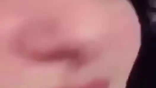 köpek stili 1