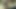 Web kamerası gırtlağına kadar alıyor
