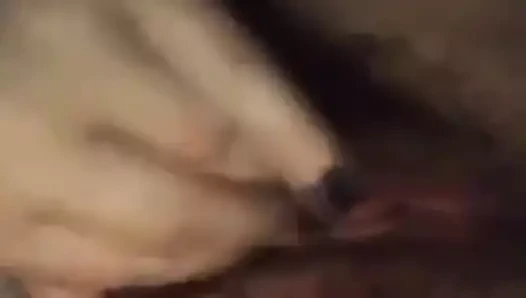 oynama ile bir kıllı KEDİ