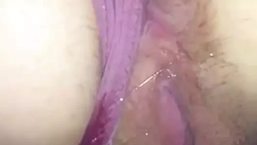 bulgaristan bulgaristan