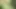 Bg porno
