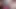 Ava Devine ve Alexis Monroe fışkırtarak grup seks yapıyor, çifte yarakla sikiliyor ve dildo sikiliyor!