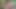 Ammu romantizm seksi tatlı amcığını gösteriyor 88