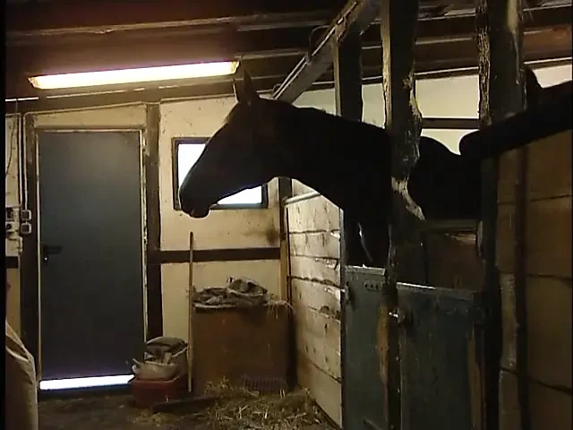 Olgun ve kızı amcık yalıyor