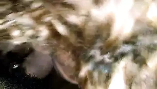 Mi esposa hace un rico oral