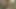 Young Be yakalandı ve büyük bir penis emiyor