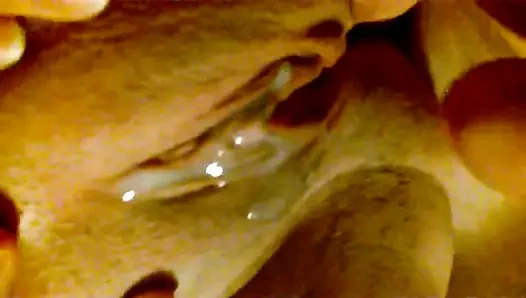 mounotrupara gamietai kai xunei