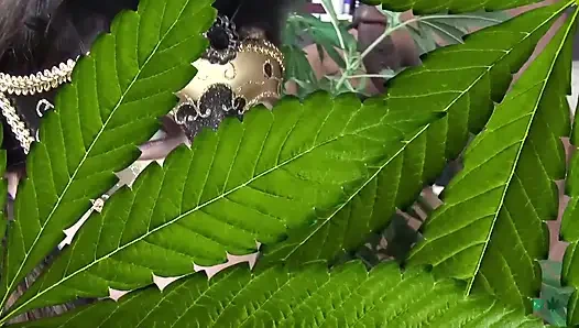 Minyon genç çifte oral seks