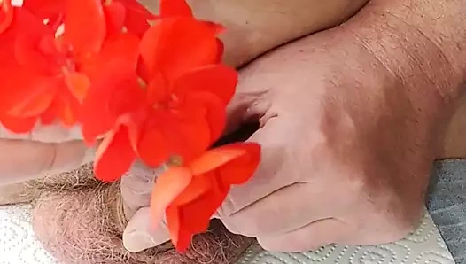 Boyama horoz benim peehole, işkence, boşalmak çiçek eklemek