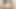 Lisa Ann and Keisha Grey at Mommy's Girl