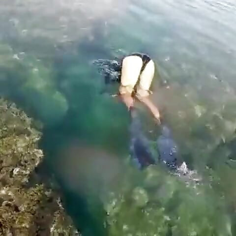 Ima Mermaid