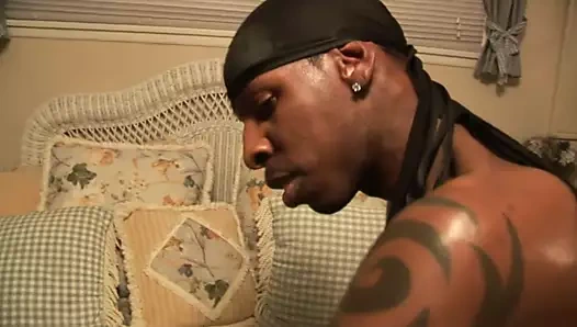 Köpek stili benim favori stilim