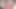 Kpop cumtribute iki kez