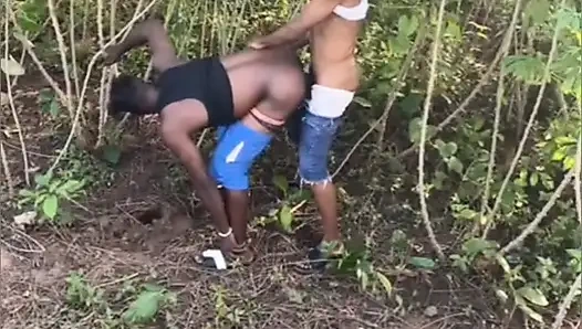 C Ile C Tipi İletim yazın.