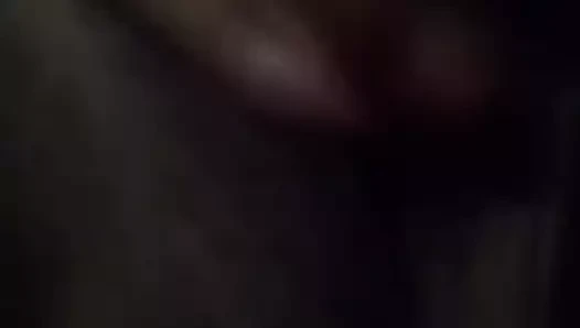 Utangaç desi