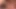 Sıcakta siyah seksi abanoz fahişeler ile vahşi üçlü!