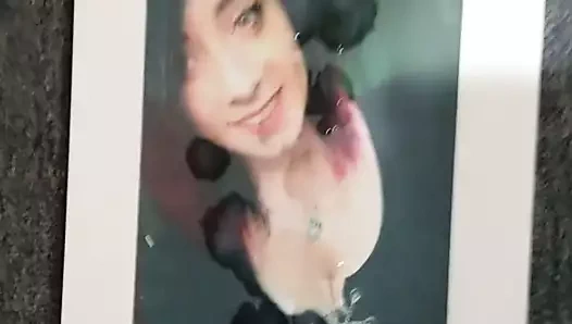 Fanatyk için övgü