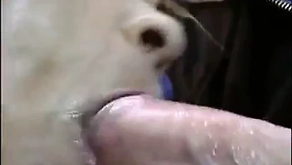 Slutty busty olgun çivilenmiş içinde bir 3some