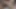 Bebek gibi kız seks yapmadan önce dildoyla amını ıslatıyor