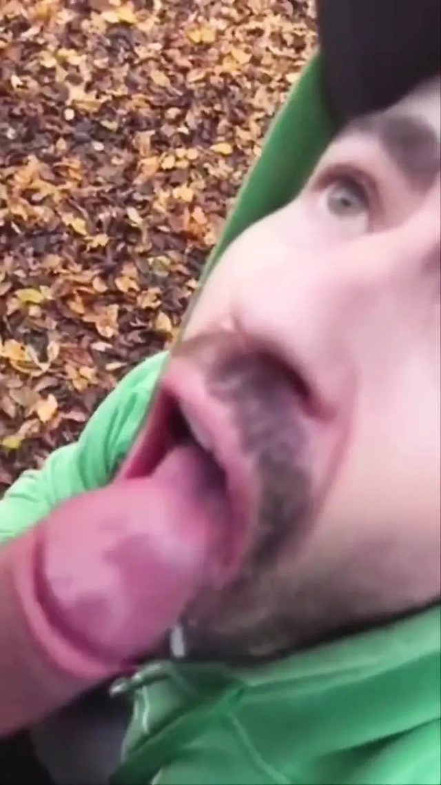 Cumshot Derlemesi