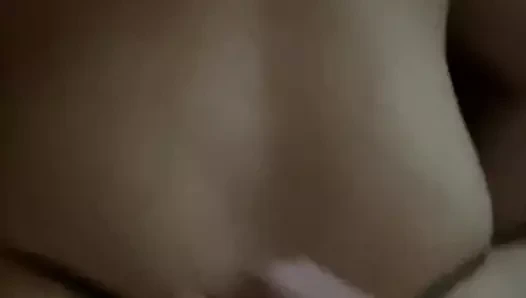 Yunan sikme (köpek stili)