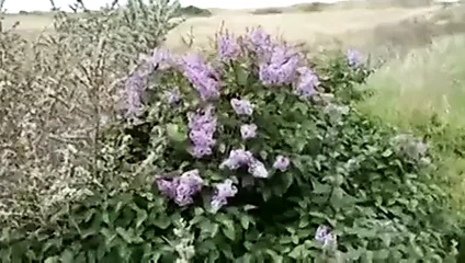 Perfektes erstes Date!