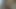 Dövmeli delisi sicily kedi sürülmüş ve yüz