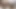 Exotic4k siyah güzellik kendall orman mükemmel kedi dövülerek