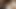 Tory Lane ve Sidnee Jennings ırklararası üçlü seks yapıyor