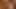 Riley Reid'i kim inkar edebilir?