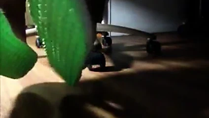 Mstiye new yorks kendi olgun ayak tanrıçası