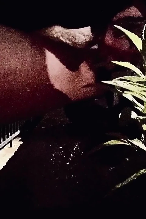 Gündelik çiş teslimat yemeğimi bekliyor