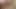 Çarpıcı esmer bebek yatakta amına dildo yapıyor