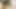 Ateşli ve güzel sabah seksi çok hızlı boşalıyor ama durmuyor