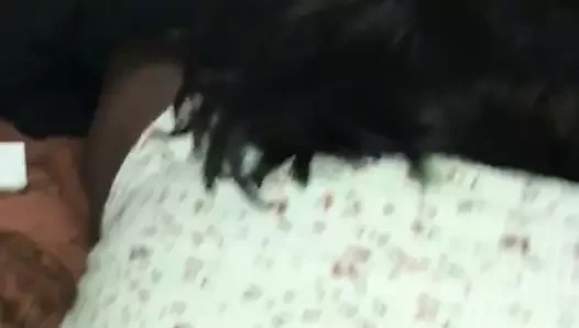 Kingkockring öldürücü arka plan görüntüleri