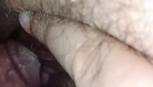 Kahrolası eski eşleri muhteşem şişman kedi 1