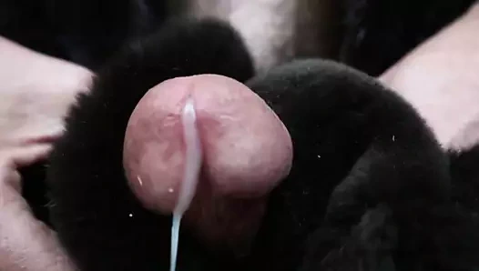 Makaslanmış kunduz boşalması