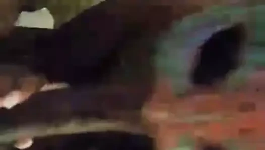 abanoz fahişenin ağzına boşalmak