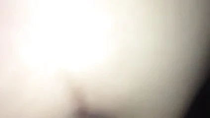 lanet biraz daha kedi